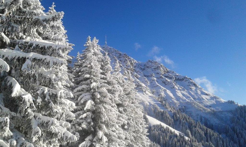 Hotel Landhaus Almdorf Sankt Johann in Tirol Exteriér fotografie